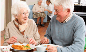 geriatricarea Microbioma Intestinal del Anciano Frágil