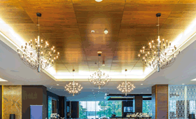 geriatricarea Armstrong Techos decorativos