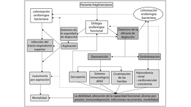 geriatricarea disfagia orofaríngea