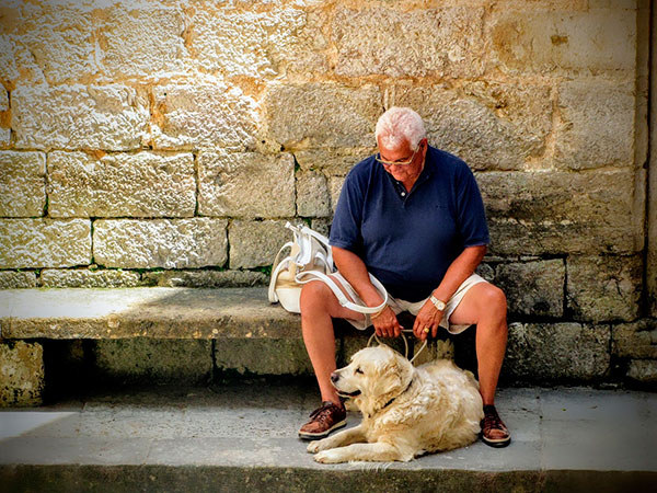 geriatricarea mascotas personas mayores
