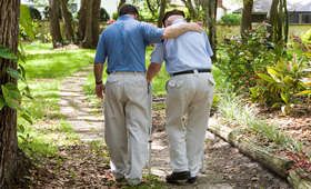 Geriatricarea COCEMFE copago Ley Dependencia