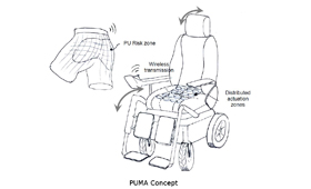 Geriatricarea PUMA úlceras por presión