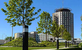 Geriatricarea Curso de Ortogeriatría Hospital La Paz