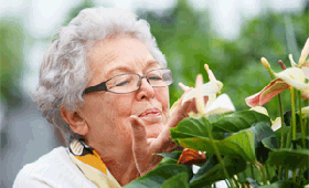 geriatricarea personas mayores