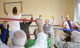 geriatricarea terapia ocupacional Sanyres