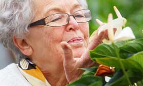 geriatricarea personas con Parkinson