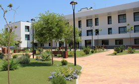 Geriatricarea Fundación Diagrama Cristo de los Mineros Ibernex