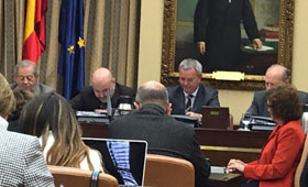 Geriatricarea copago en dependencia