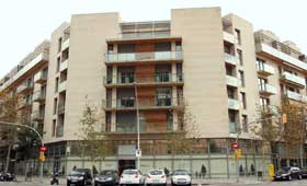 geriatricarea Grupo Amma