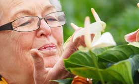 geriatricarea taller terapéutico horticultura