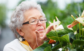 geriatricarea primavera patologias respiratorias Sanitas Mayores