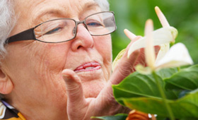 Geriatricarea botánica artística Sanitas Mayores