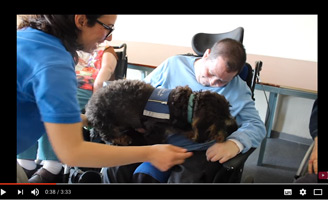 geriatricarea Fundación Canis Majoris terapia asistida por animales CAMF de Leganés