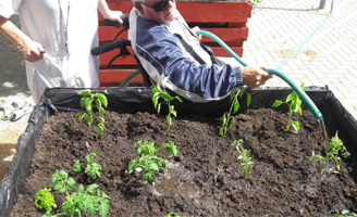 geriatricarea Clece Hortoterapia envejecimiento activo