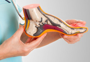 geriatricarea FEDOP reforma prestaciones ortoprotésicas