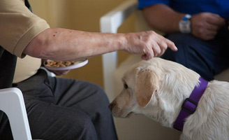 geriatricarea CRE de Alzheimer intervención asistida con perros
