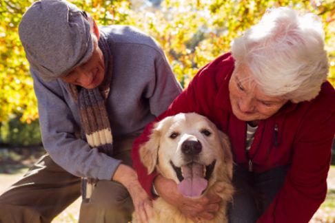 geriatricarea convivencia mascotas