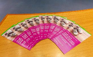 geriatricarea prevencion 1