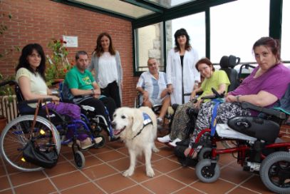 geriatricarea terapia con animales