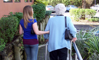 geriatricarea Castilla y León prestaciones dependencia