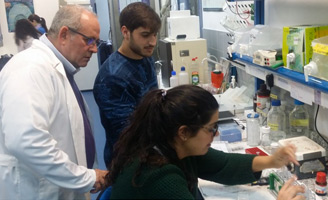 geriatricarea personas diabéticas tienen un mayor riesgo de desarrollar Alzheimer