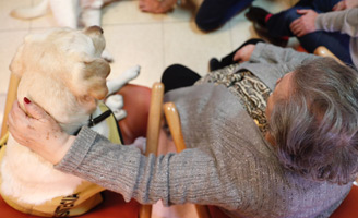 geriatricarea terapias con animales residencias de mayores