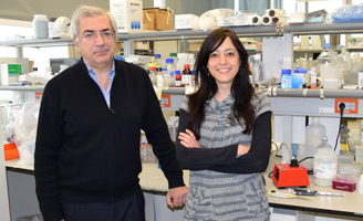 geriatricarea neuroinflamación Laboratorio de Neurobiología Centro de Investigación Príncipe Felipe