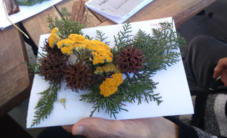 geriatricarea-Terapia-Botanica-Artistica