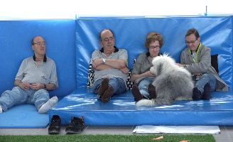 geriatricarea discapacidad intelectual