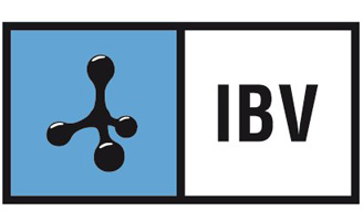 geriatricarea Máster en Valoración Biomecánica Clínica IBV