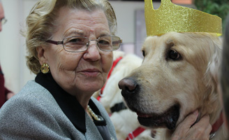 geriatricarea ballesol Terapia Asistida con Animales