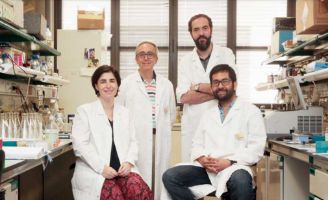 geriatricarea envejecimiento y cancer