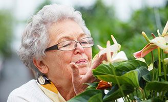 geriatricarea pisogerontologia perfil psicologico del mayor.jpg
