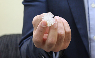 geriatricarea luces de Navidad