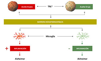 geriatriucarea alzheimer Aceite de Orujo de Oliva