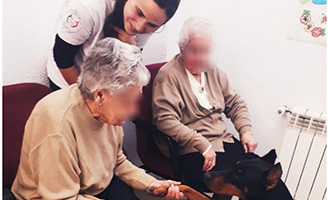 geriatricarea terapia asistida con animales Alzheimer