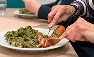 geriatricarea aliemtacion diabetes