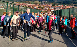 geriatricarea habitos saludables ssi