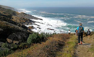 geriatricarea envejecimiento UPV