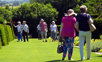 geriatricarea enfermedad de parkinson