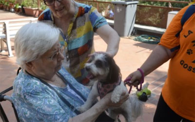 geriatricarea terapia con animales La Verneda