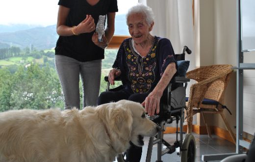 geriatricarea terapia asistida con animales