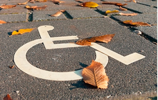 geriatricarea Discapacidad lares