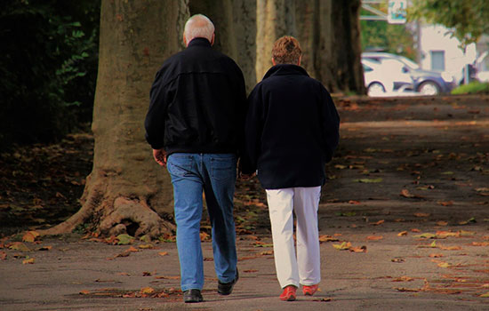 geriatricarea Estado del Bienestar