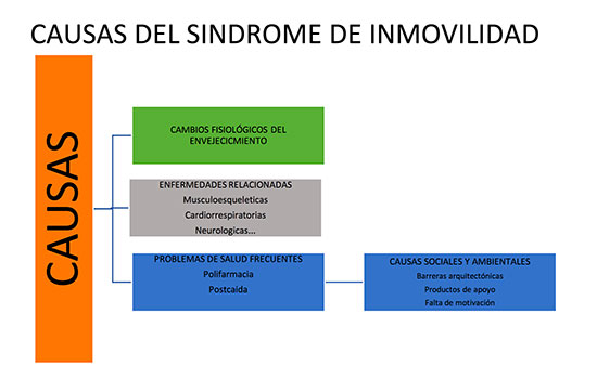 geriatricarea inmovilidad