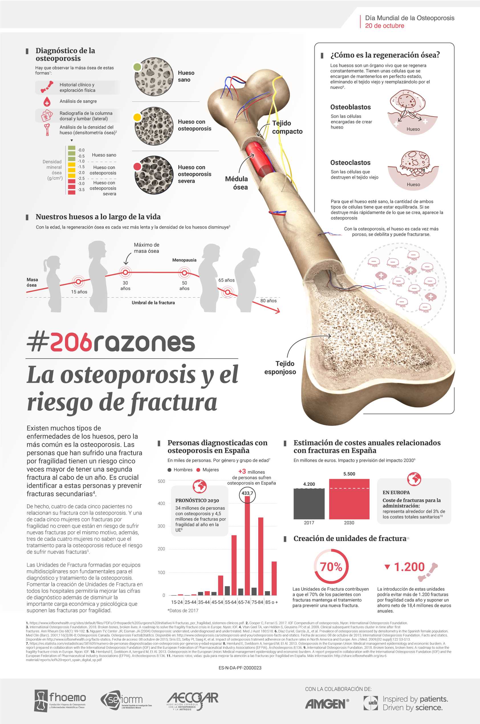 geriatricarea fracturas por fragilidad