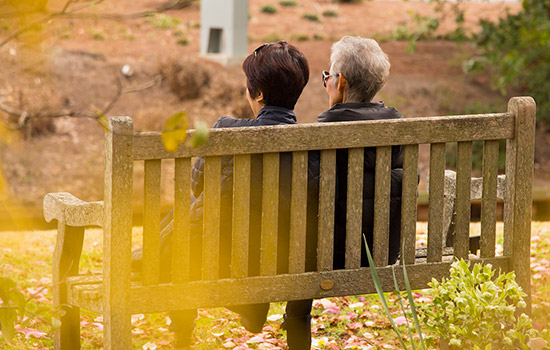 geriatricarea envejecimiento