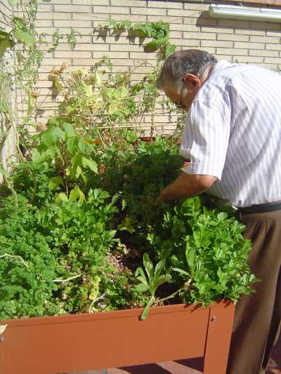 geriatricarea actividades sostenibles huerto urbano beneficio contra deterioro en personas mayores