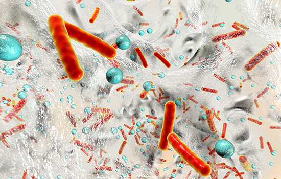 geriatricarea Biofilms orales