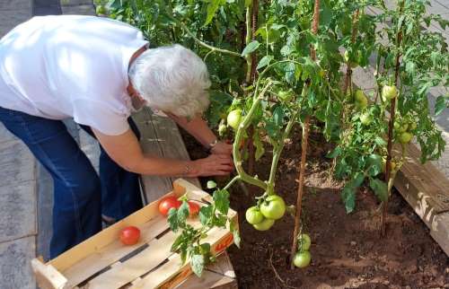 geriatricarea Horticultura jardineria terapéutica moncalvillo